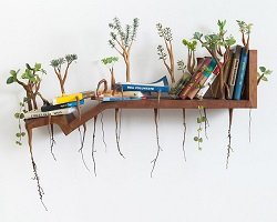 Причудливые деревянные скульптуры by Camille Kachani